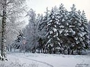 Winter (65).jpg